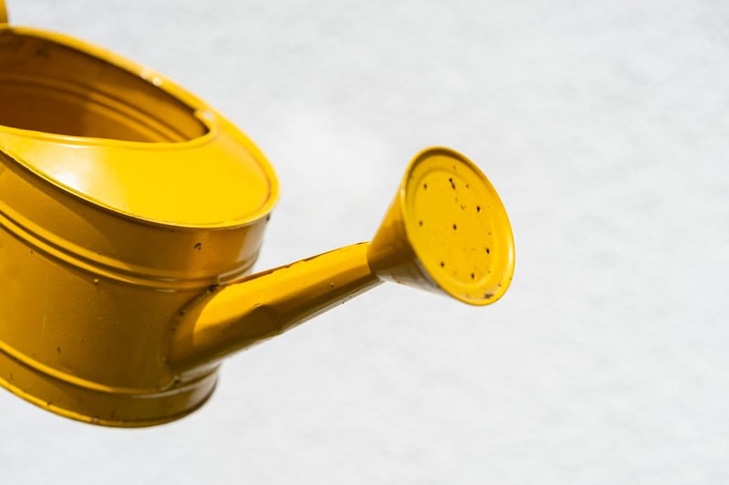 Rainwater Harvesting